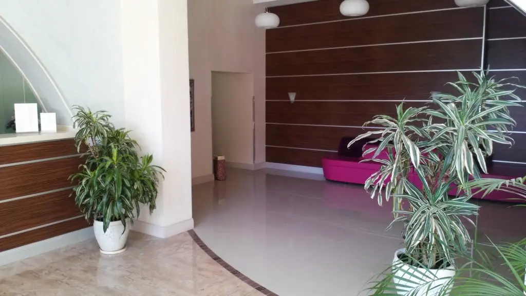 Сочи: Sochi Sunny Apartment