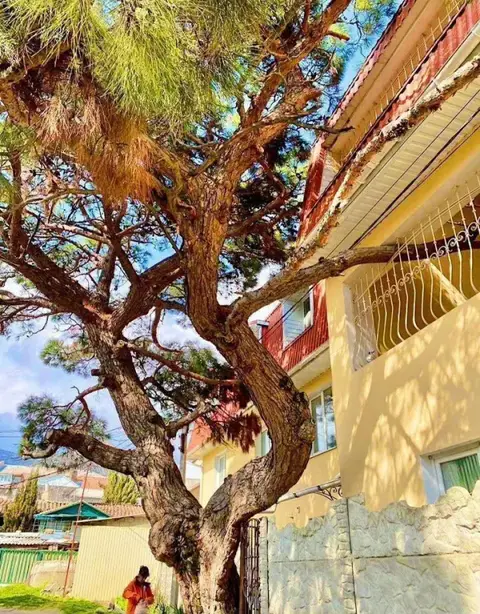 Частный Дом для Отдыxа в Кpaсивом Уголке Cудакa — фото 1