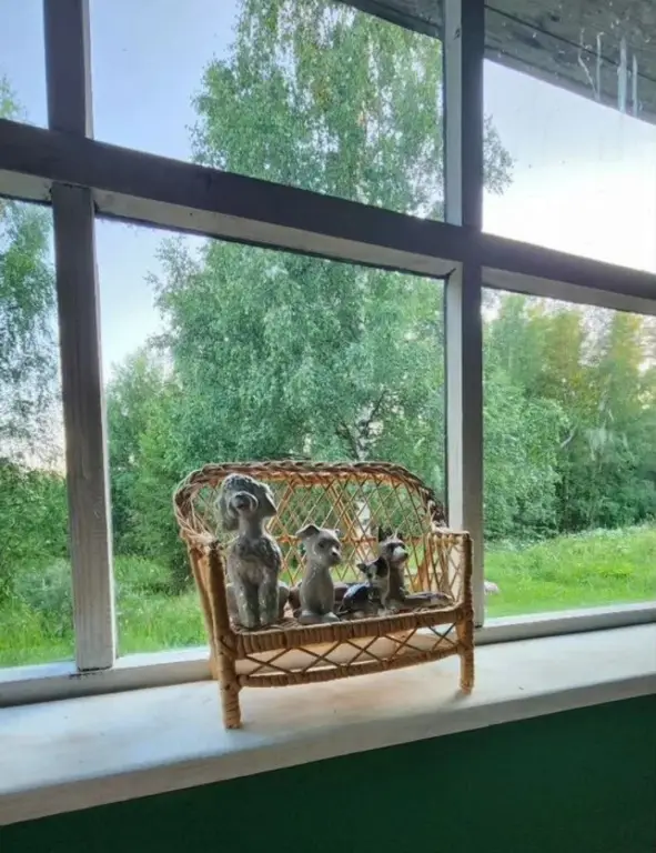Лахденпохья: Частный дом у леса
