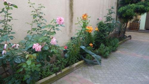 Сочи: Solnechny Bereg Guest House