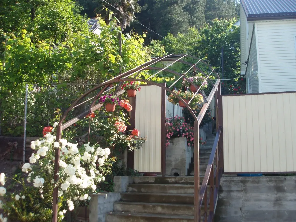 Сочи: Guest House Solnechny Pik