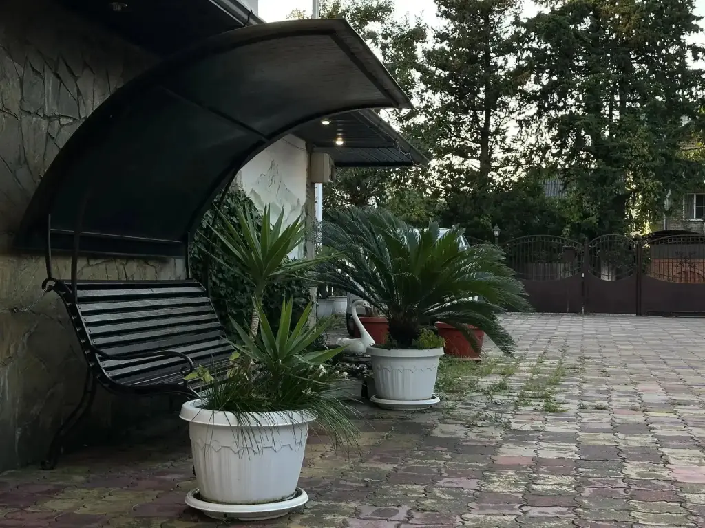 Вардане: Каролина