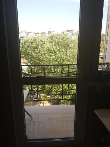 Сочи: Studio y more