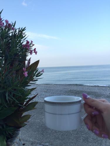 Сочи: Sunrise Guest House