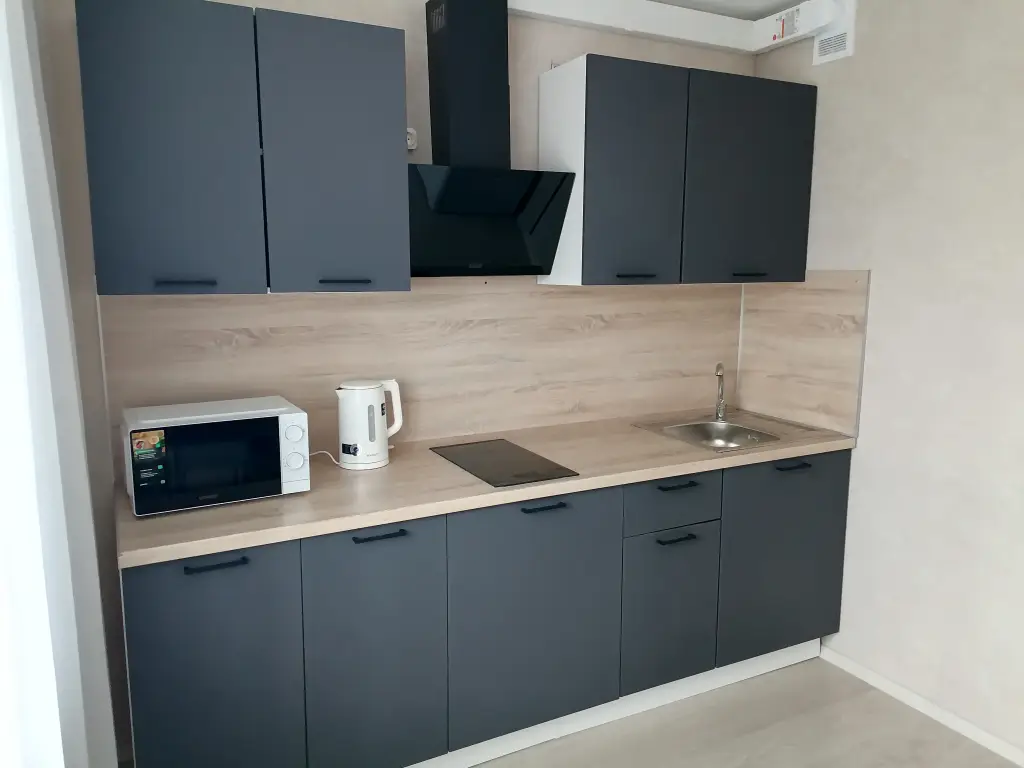 Квартира Однокомнатная 41м² 2 Кровати — фото 1