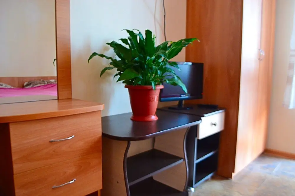 Сочи: Guest House Sweet Home