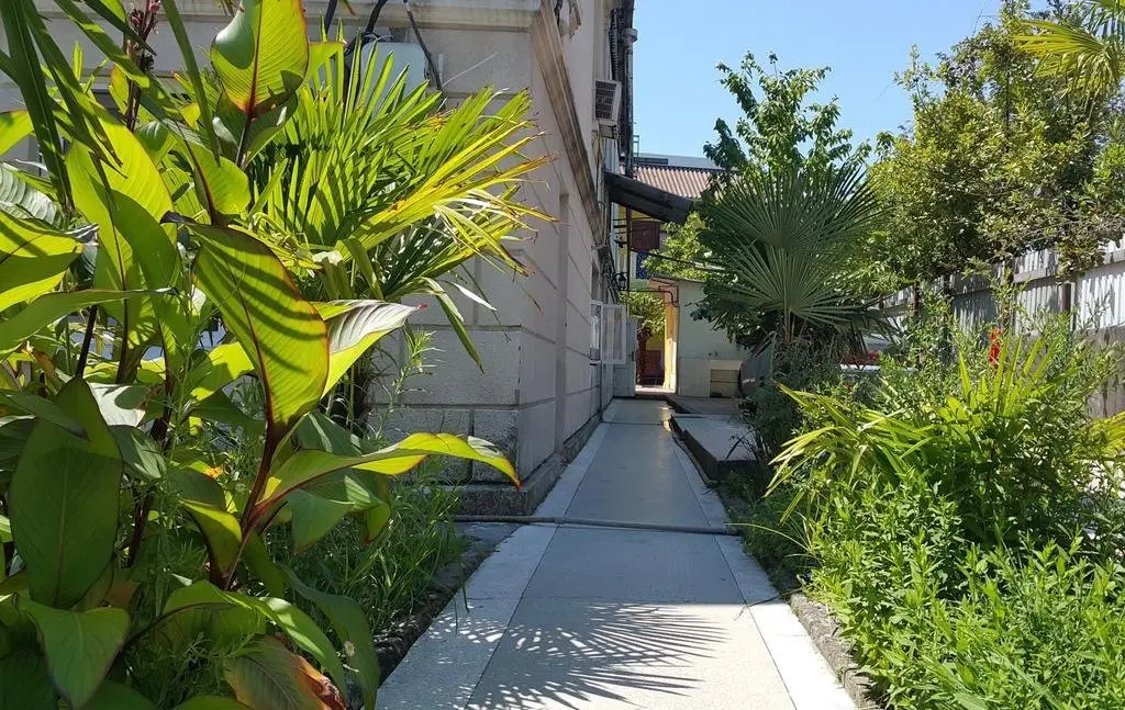 Сочи: Tiflis Guest House
