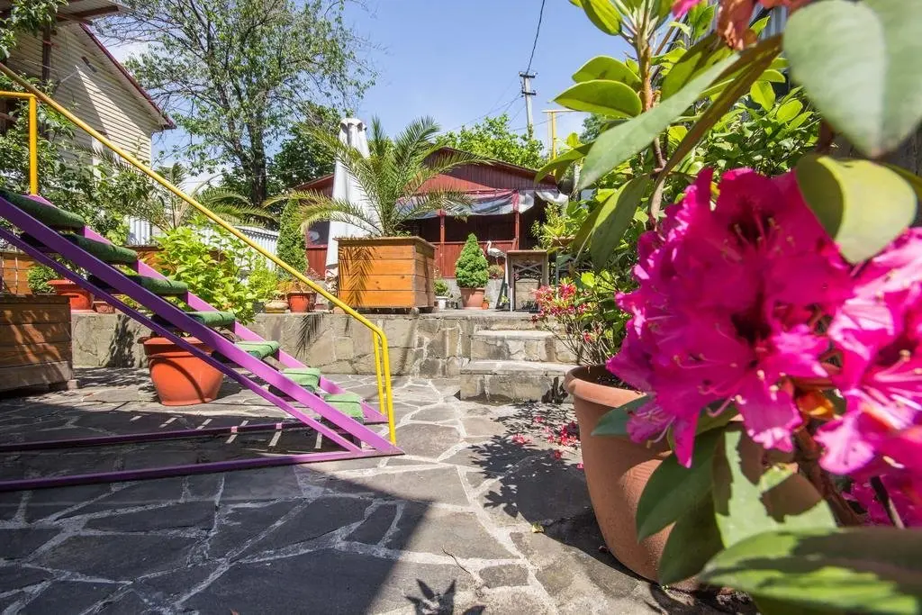 Сочи: Tikhiy Guest House