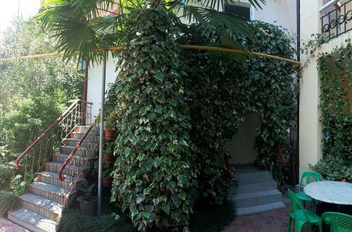 Сочи: Guest House on Bogdana Khmelnitskogo
