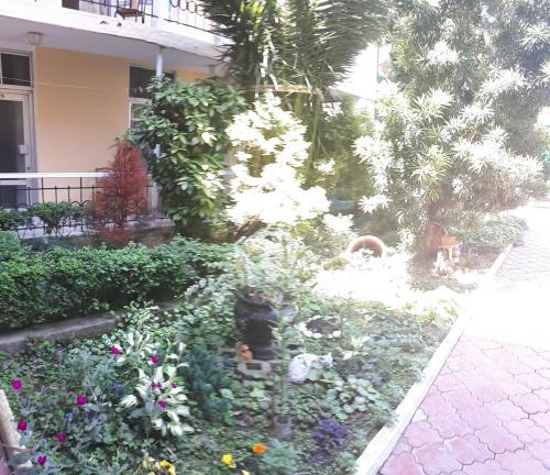 Сочи: Guest House on Bogdana Khmelnitskogo