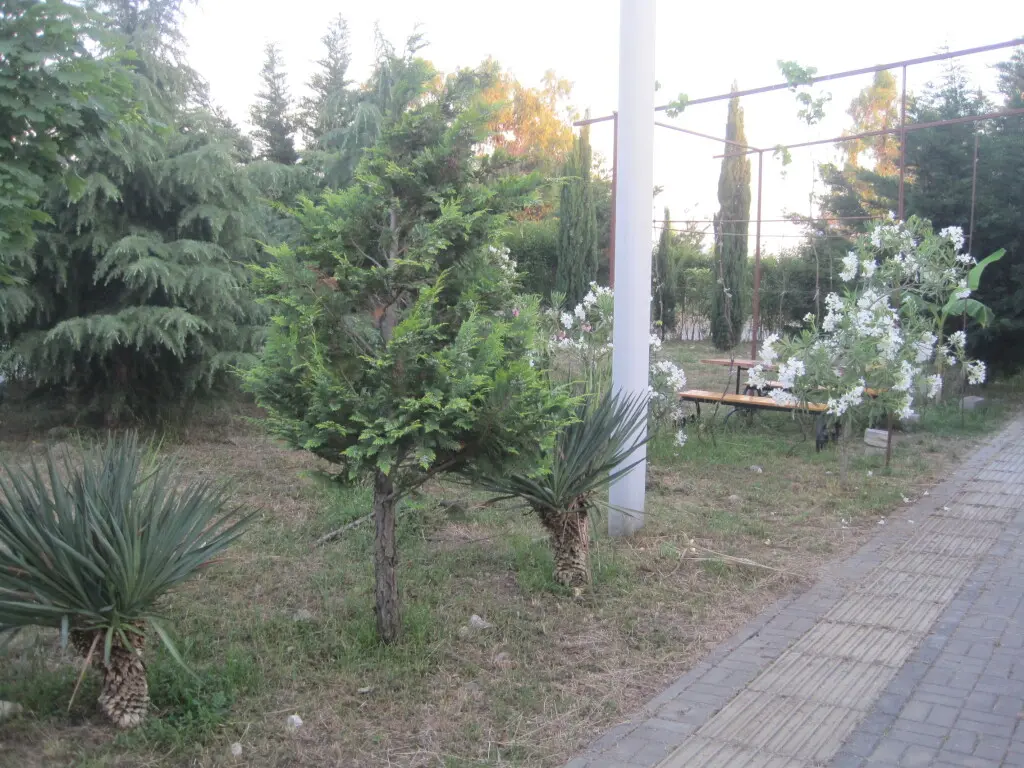 Сочи: Guest House Veles