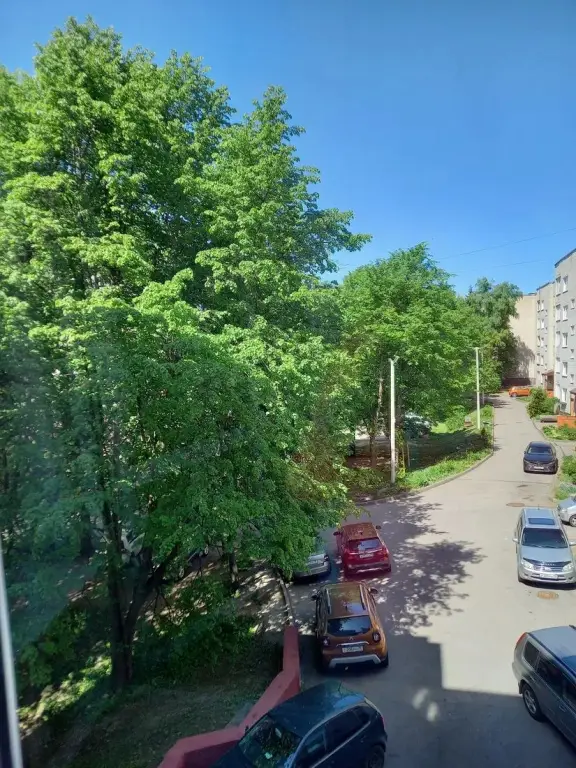 Светлогорск: Квартира Любимая в Светлогорске