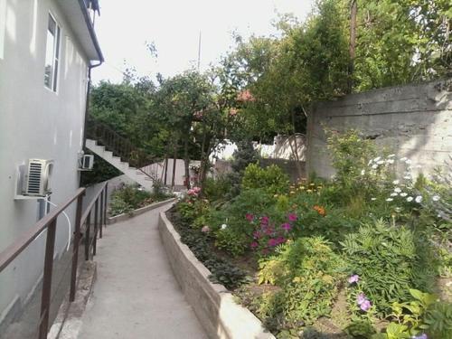 Сочи: Volgar Guest House