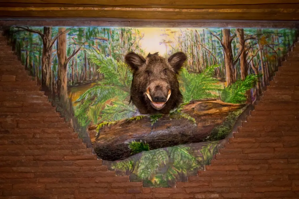 Красная Поляна: Wood Place Guest House