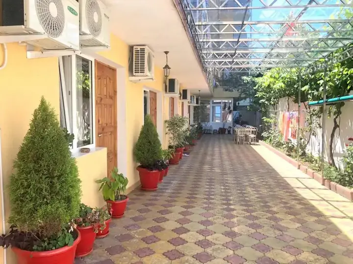 Сочи: Гостевой дом Дельфинчик