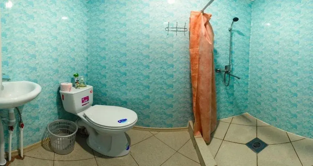 Задонск: Guest House Palomnik