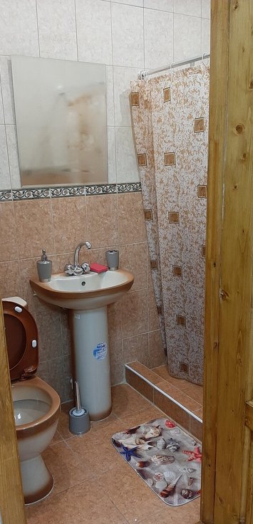Болотное: Феникс центральная