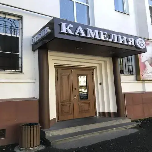 Владикавказ: Отель Камелия-в