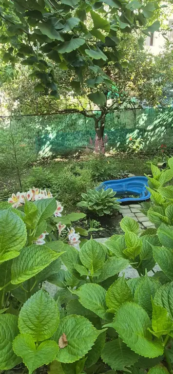 Сочи: Гостевой дом Морской Бриз