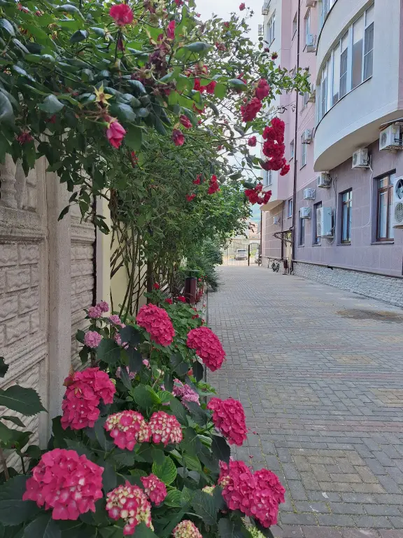 Геленджик: Квартира Панорама Геленджика