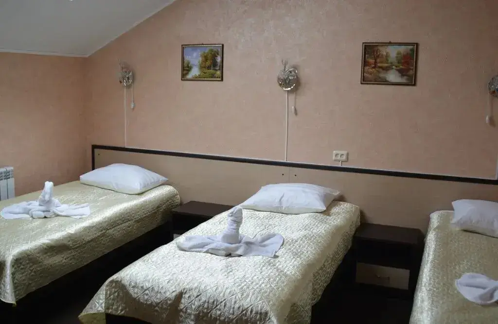 Чернышевск: Karina Hotel