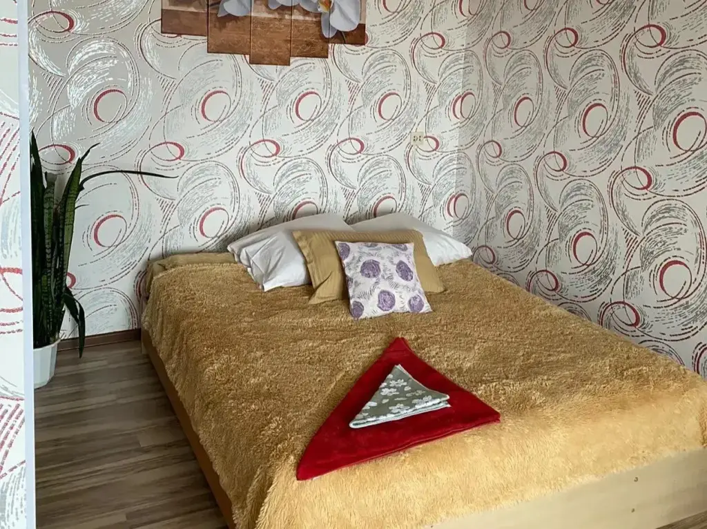Хилок: ВиОла
