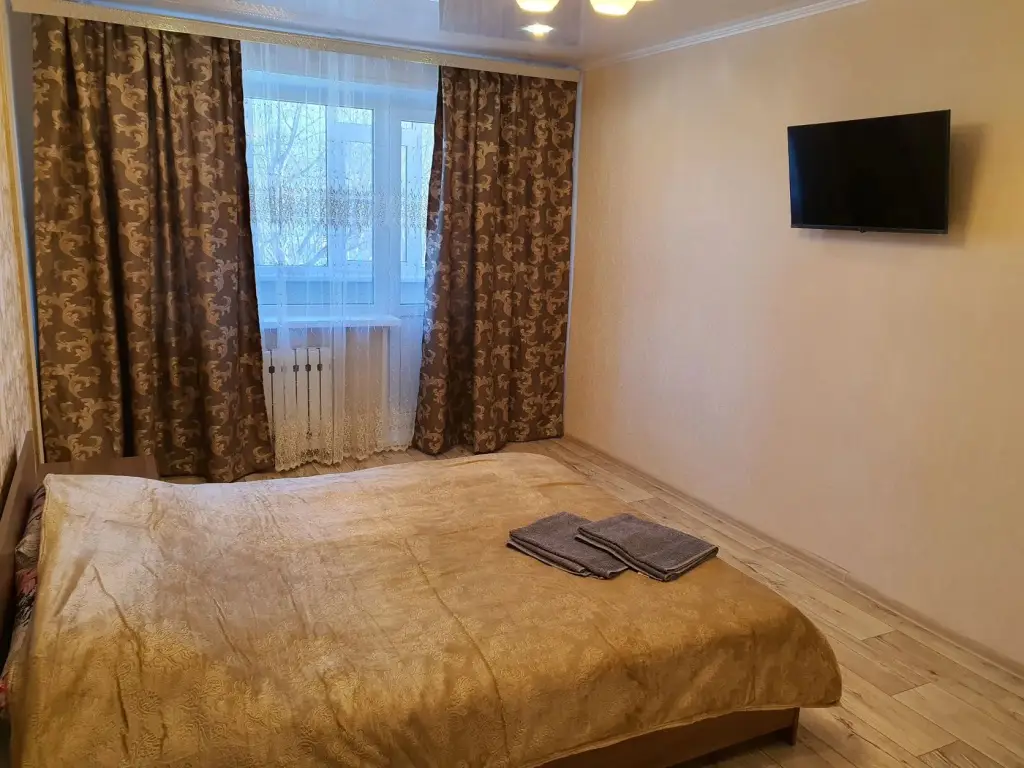 Петропавловск-Камчатский: Апартаменты 1-комнатная на КП