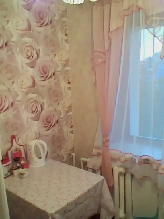 Петропавловск-Камчатский: Апартаменты 1-комнатные 50 лет Октября 9/8 6км Эконом