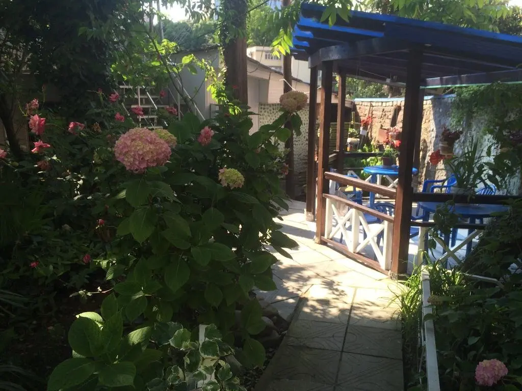 Сочи: Guesthouse Pal'ma
