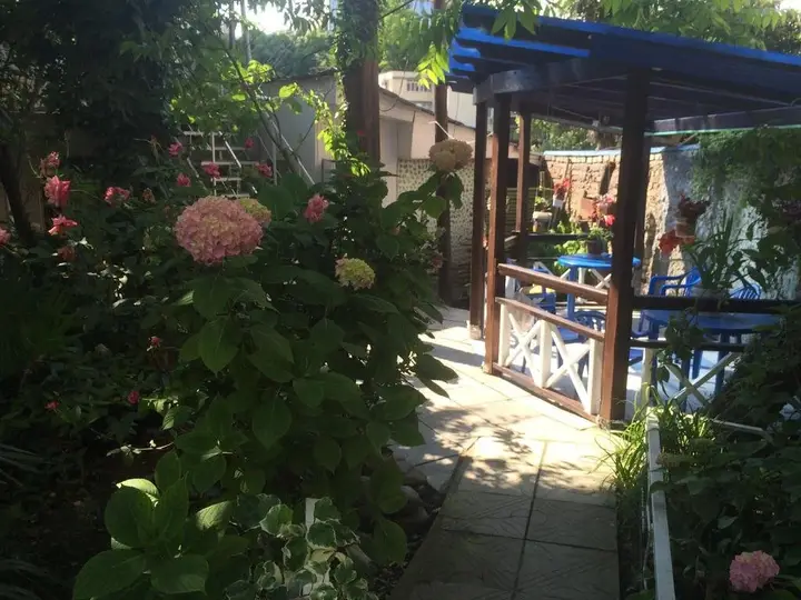 Сочи: Guesthouse Pal'ma