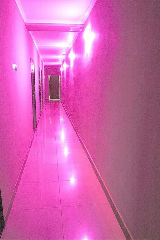 Барнаул: Abel Mini-Hotel