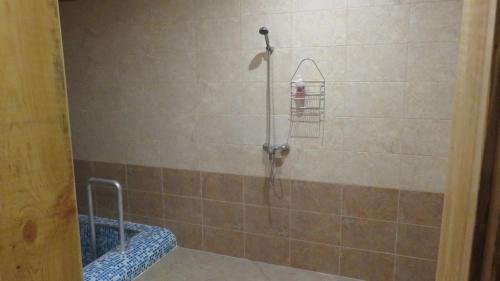 Барнаул: Guest House Okolitsa