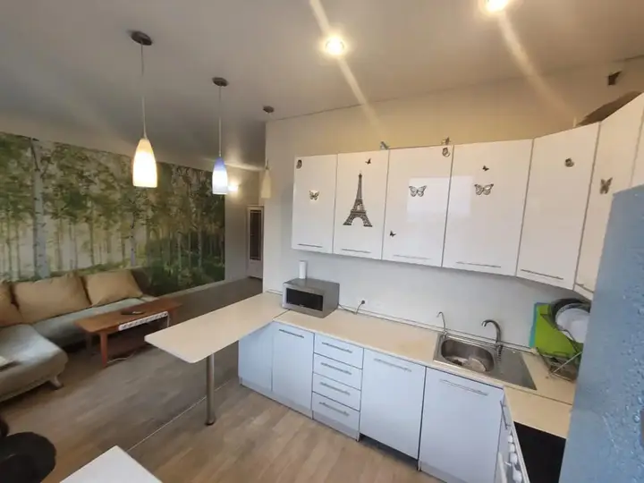 Петропавловск-Камчатский: Ladom Apartments