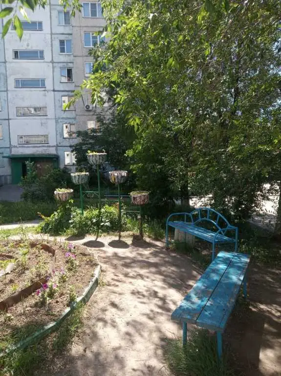 Барнаул: Хостел Подсолнух