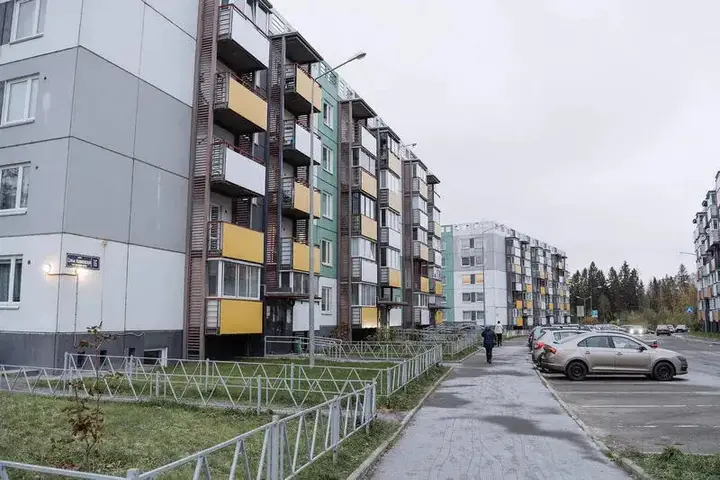 Петрозаводск: 9 Ночей на улице Софии Ковалевской