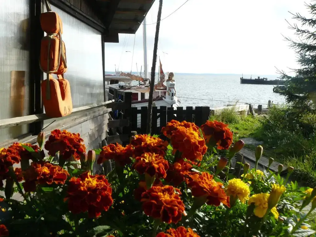 Петрозаводск: Guest House Morskoy Konyok