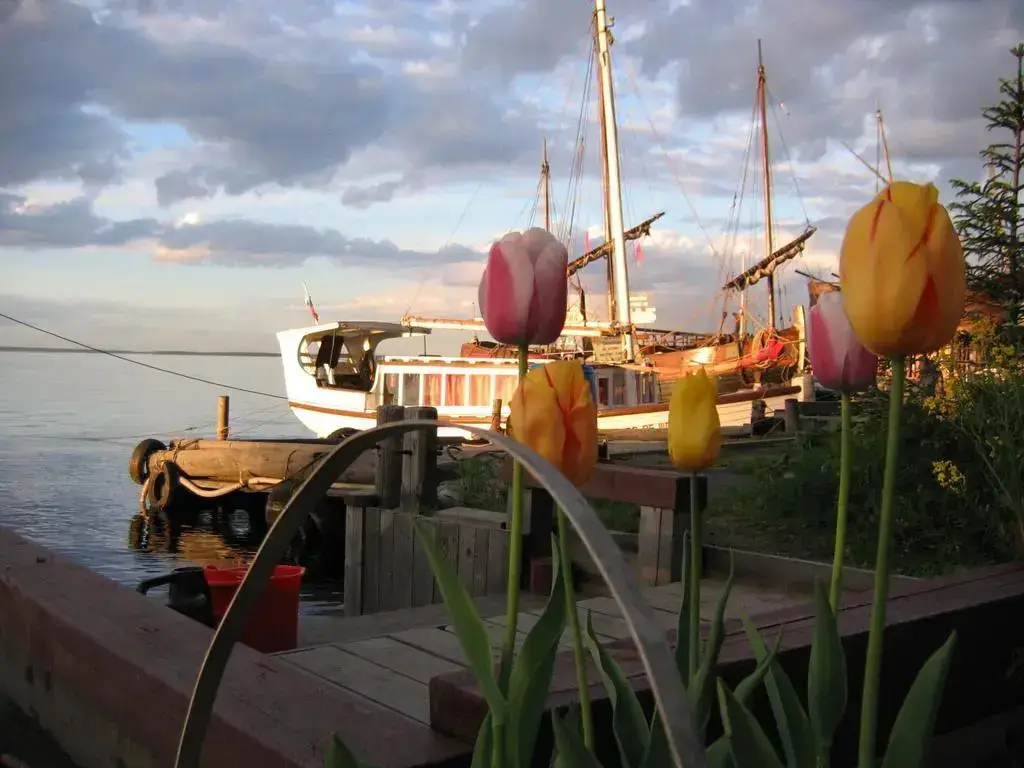 Петрозаводск: Guest House Morskoy Konyok