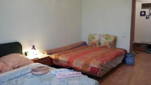 Петрозаводск: Guest House Na Chkalova 45A