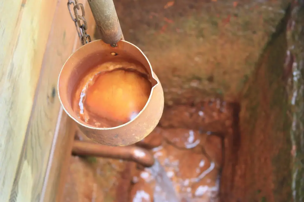 Марциальные Воды: Санаторий Марциальные Воды