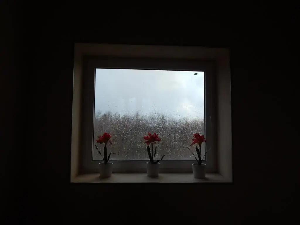 Петрозаводск: Петр