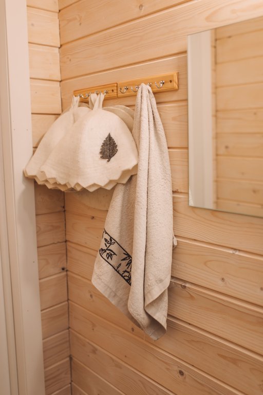 Петрозаводск: Гостевой дом ScandiVillage