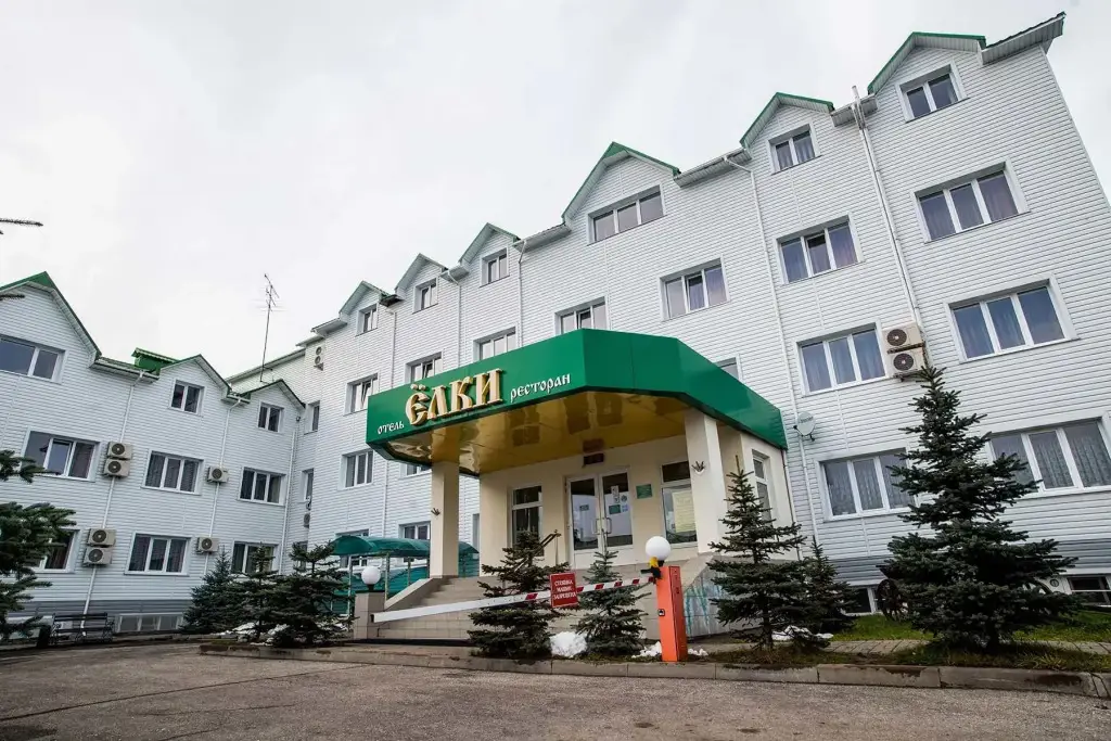 Гостиница Елки — фото 1