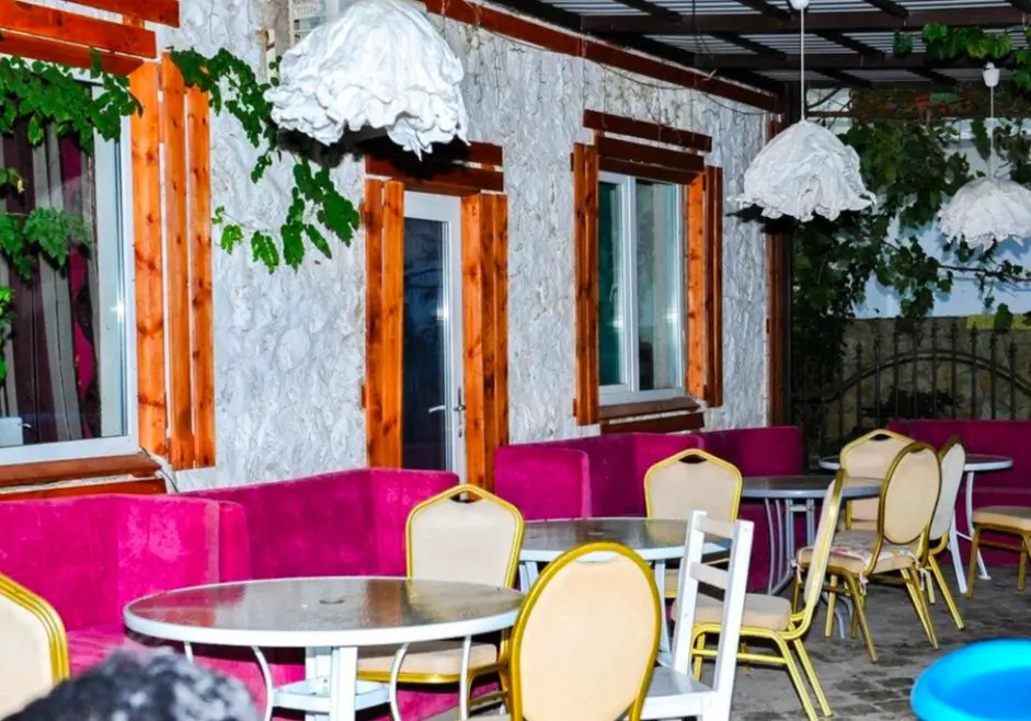 Южная Озереевка: Hotel Sashenka
