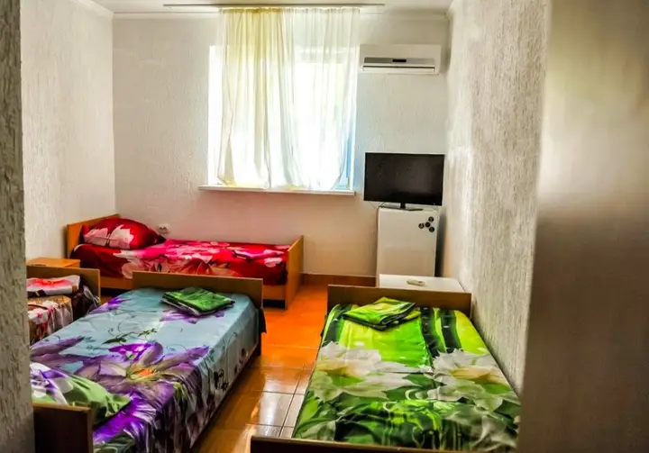 Южная Озереевка: Hotel Sashenka