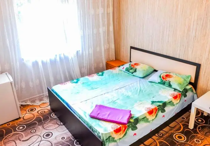 Южная Озереевка: Hotel Sashenka