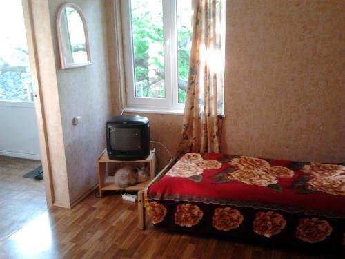 Геленджик: Guest House Novorossiyskaya 47