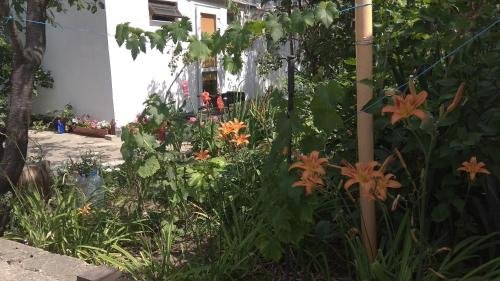 Геленджик: Guest House Novorossiyskaya 47