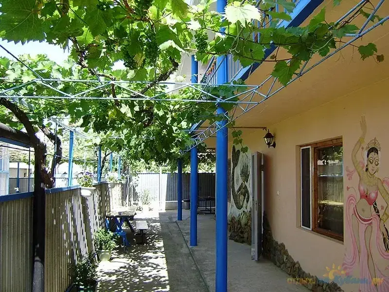 Витязево: Guest House Ariel