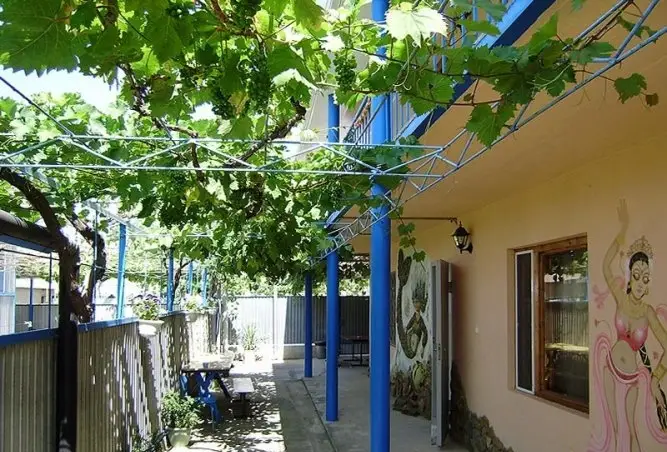 Витязево: Guest House Ariel