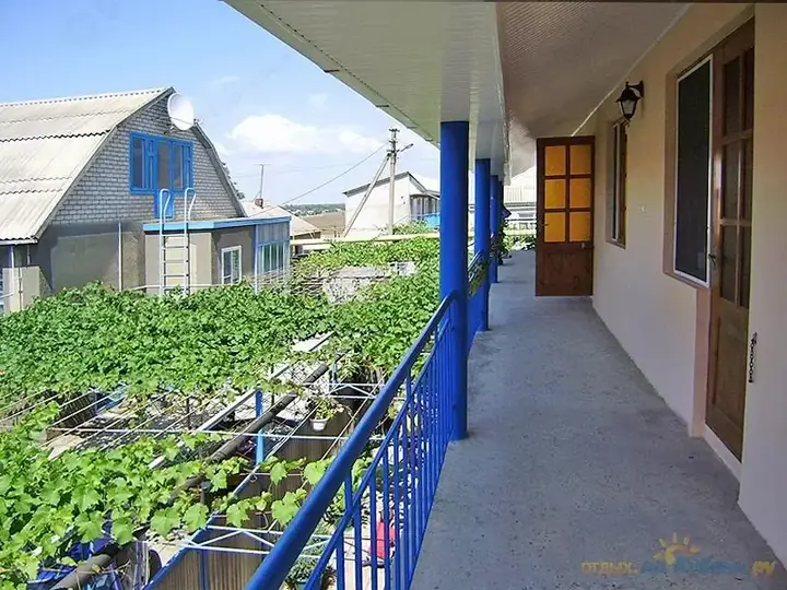 Витязево: Guest House Ariel